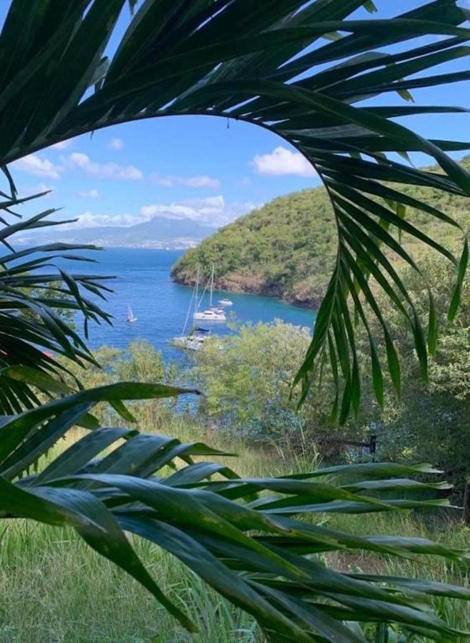 Studio Sainte Anne 2Mn A Pieds De La Plage ,Possibilite Location De Voiture Εξωτερικό φωτογραφία